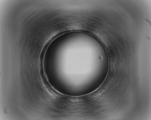 X0000097500439200802291601