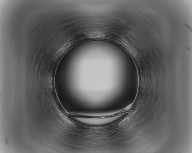 X0000097500441200802291601