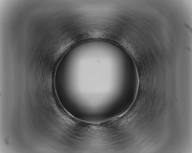 X0000097500442200802291601