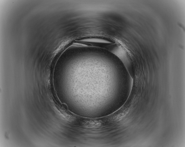 X0000097500443200802291601