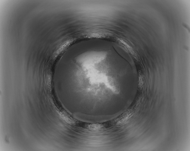 X0000097500444200802291601