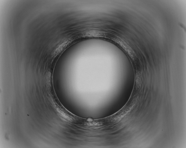 X0000097500445200802291601