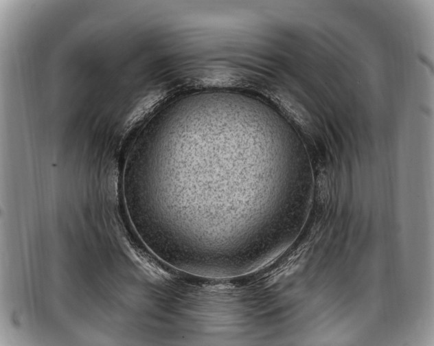 X0000097500446200802291601