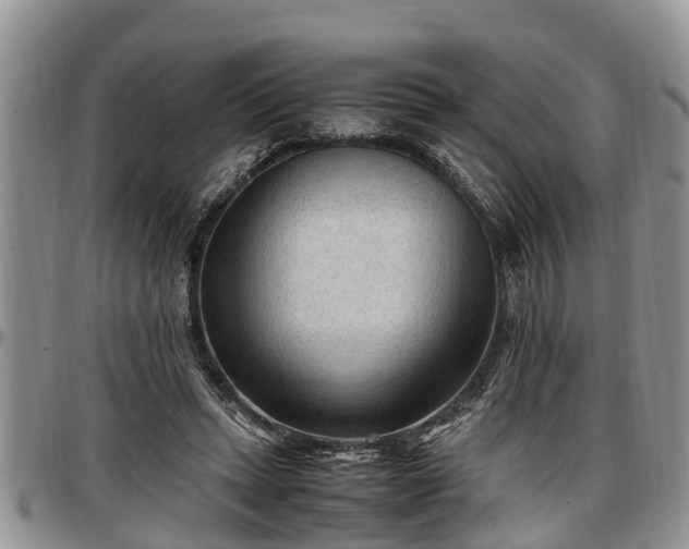 X0000097500447200802291601
