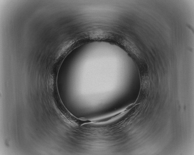 X0000097500448200802291601