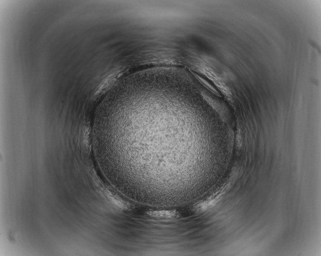 X0000097500449200802291601