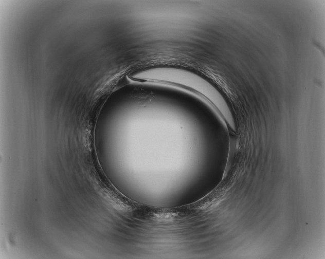 X0000097500450200802291601