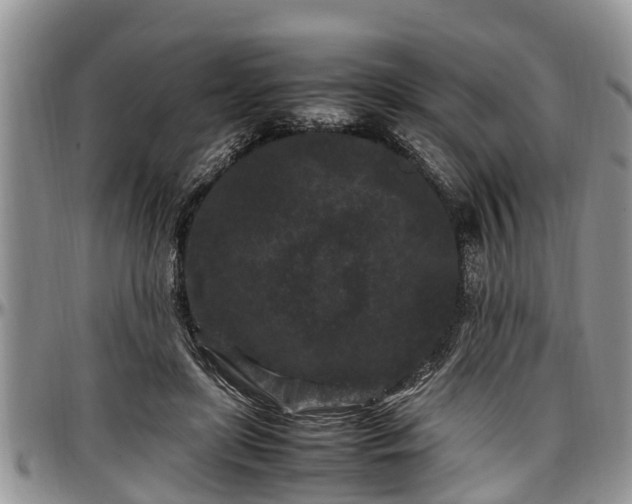 X0000097500451200802291601