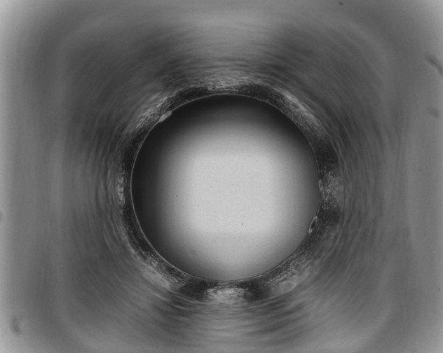 X0000097500452200802291601