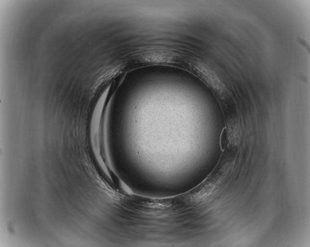 X0000097500453200802291601