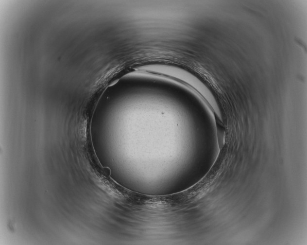 X0000097500454200802291601