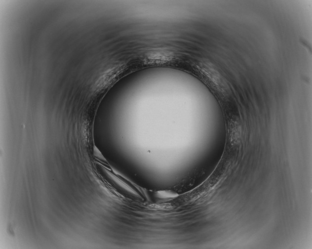 X0000097500455200802291601