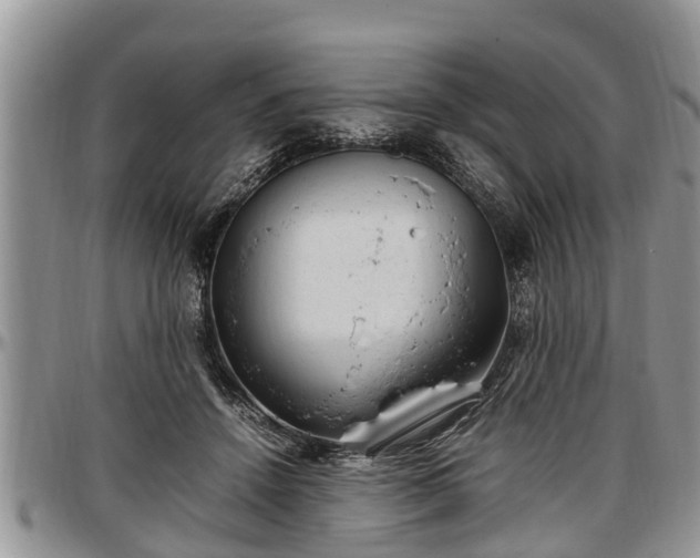 X0000097500456200802291601