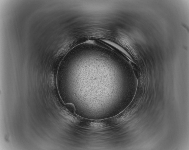 X0000097500457200802291601