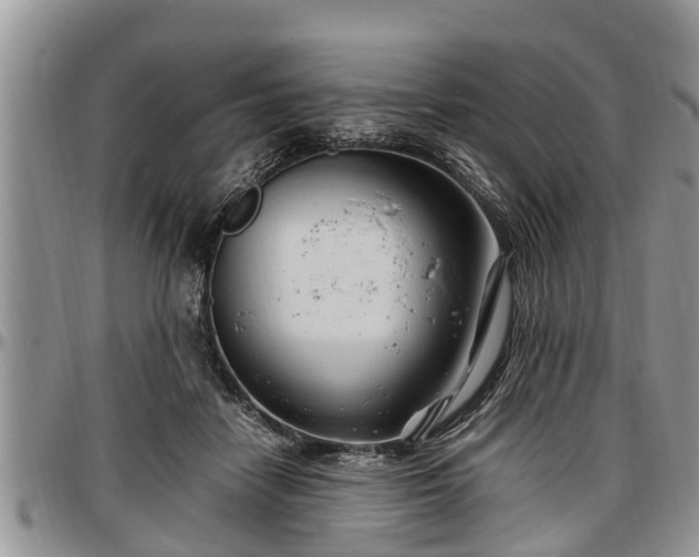 X0000097500458200802291601