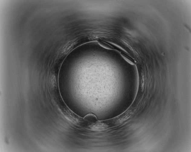 X0000097500459200802291601