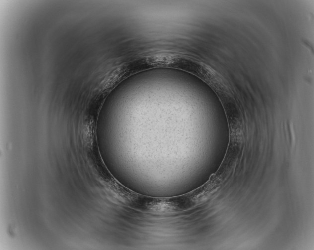 X0000097500460200802291601