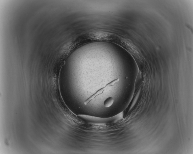 X0000097500461200802291601
