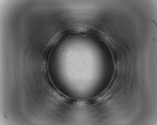X0000097500462200802291601