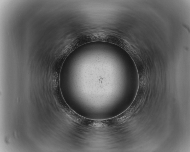 X0000097500464200802291601