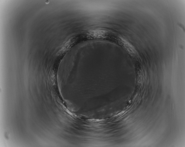 X0000097500465200802291601