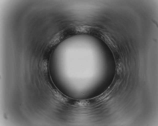 X0000097500466200802291601