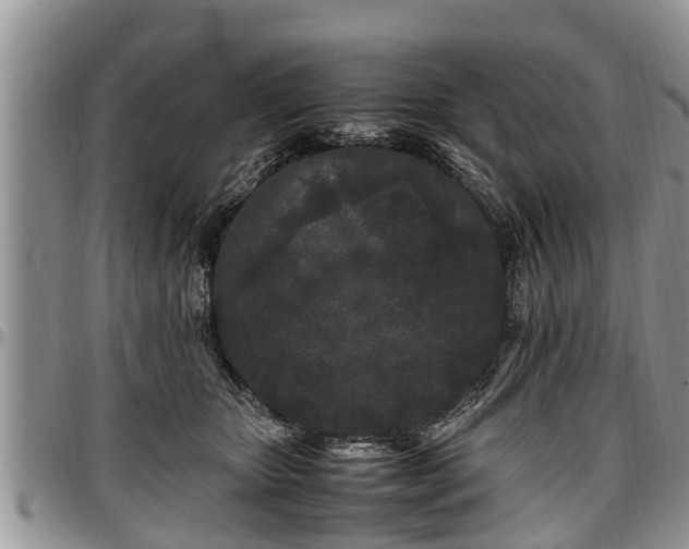 X0000097500467200802291601