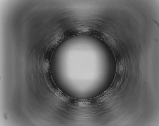 X0000097500468200802291601