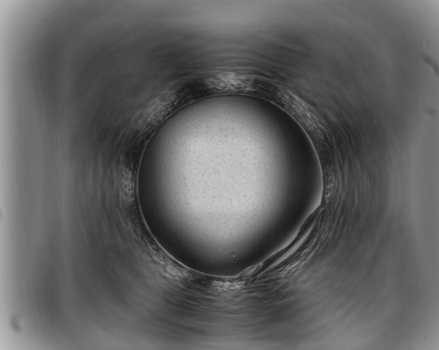 X0000097500469200802291601