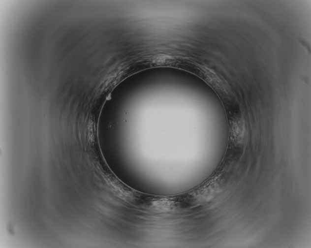 X0000097500470200802291601