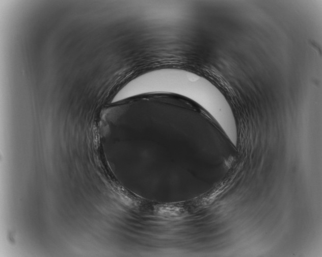 X0000097500471200802291601