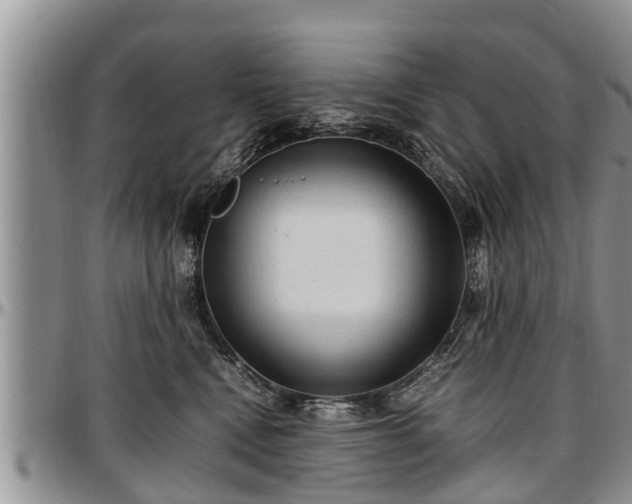X0000097500472200802291601