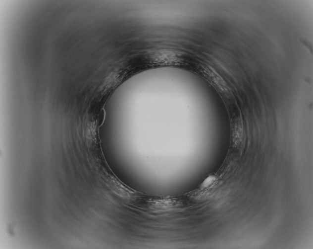 X0000097500473200802291601