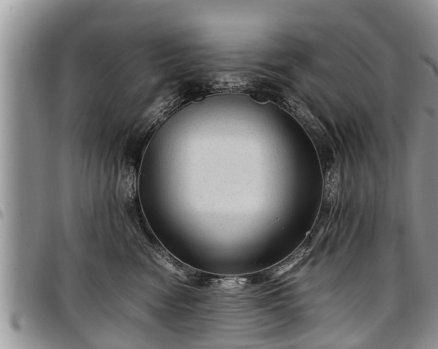 X0000097500474200802291601