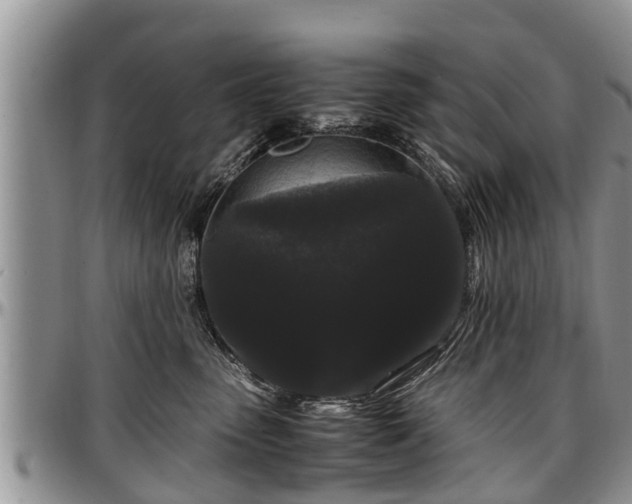 X0000097500475200802291601