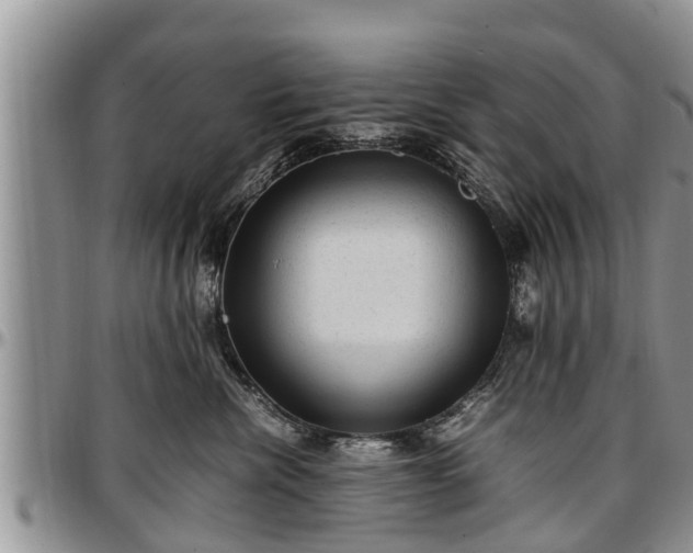 X0000097500476200802291601