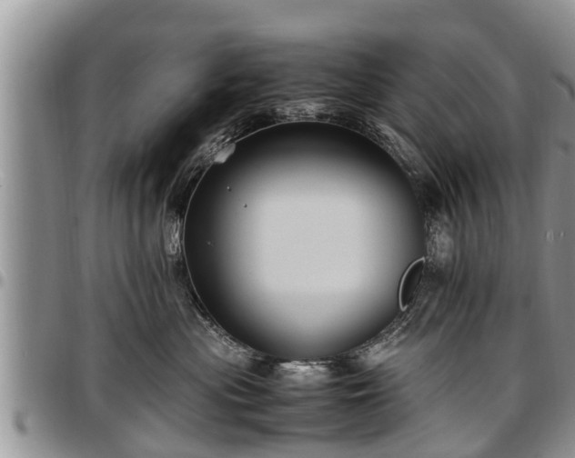 X0000097500477200802291601