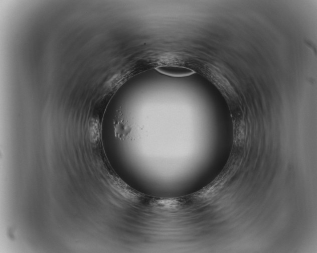 X0000097500478200802291601