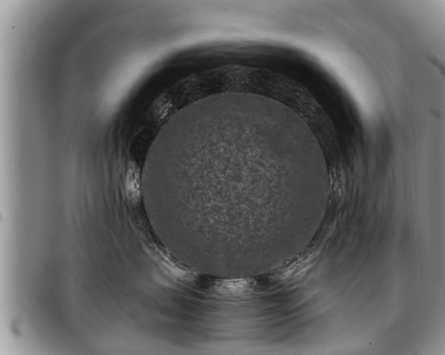 X0000097500479200802291601