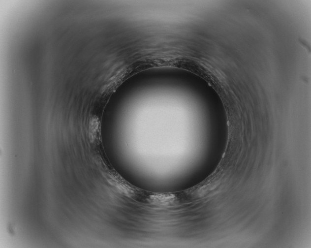 X0000097500480200802291602