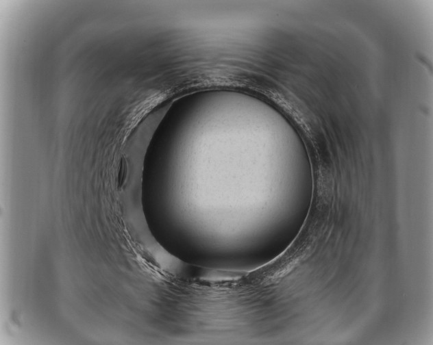 X0000097500481200802291601