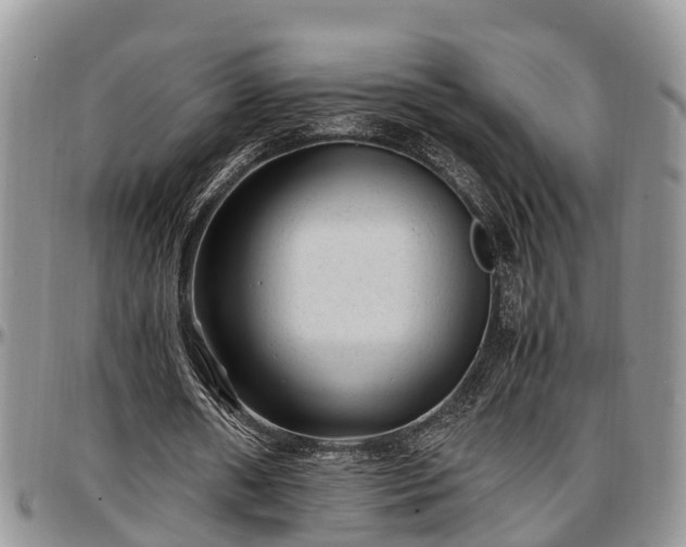 X0000097500482200802291601