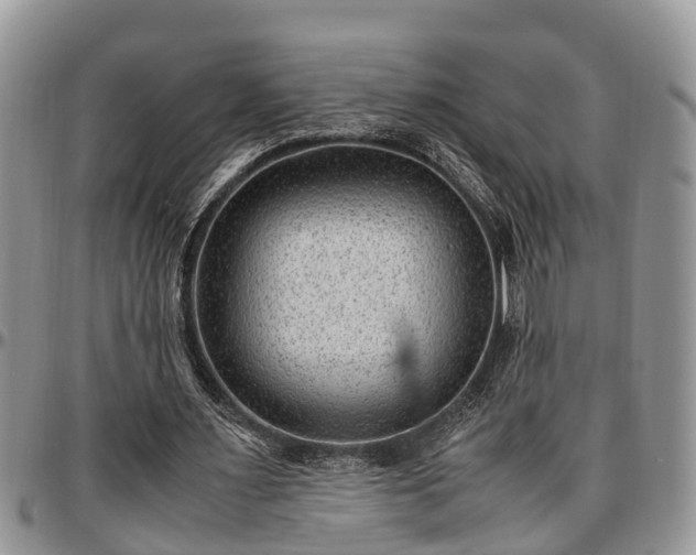X0000097500483200802291601