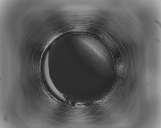 X0000097500484200802291601