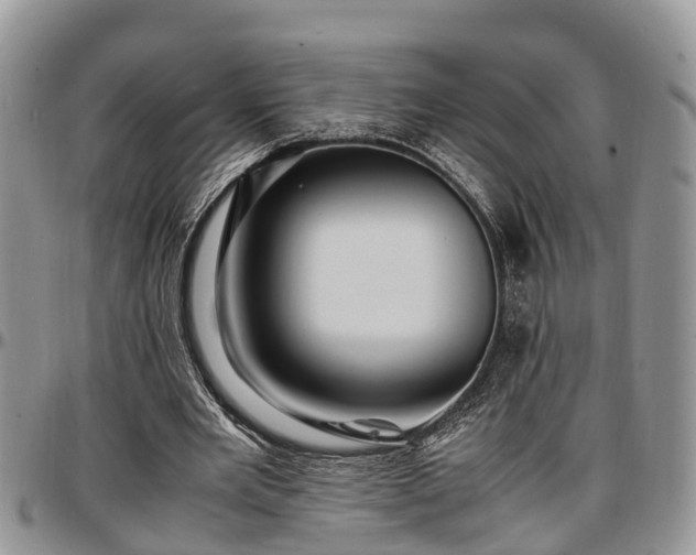 X0000097500485200802291601