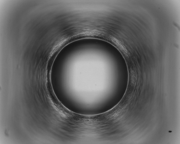 X0000097500486200802291601