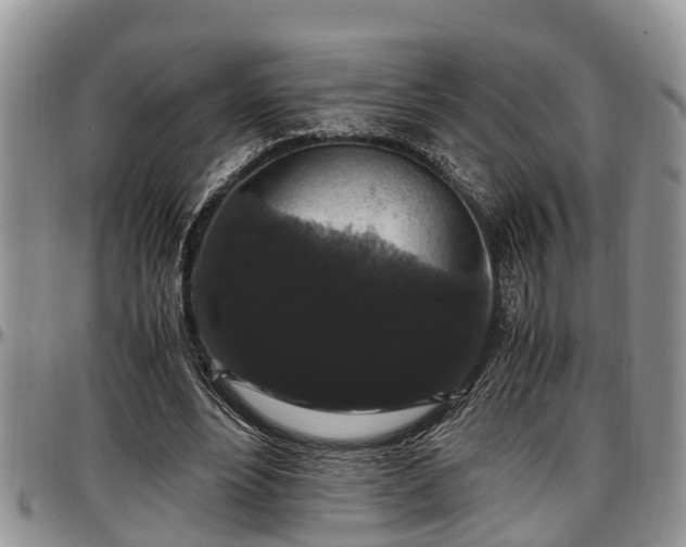 X0000097500488200802291601