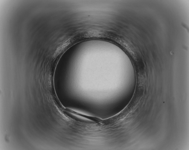 X0000097500489200802291601