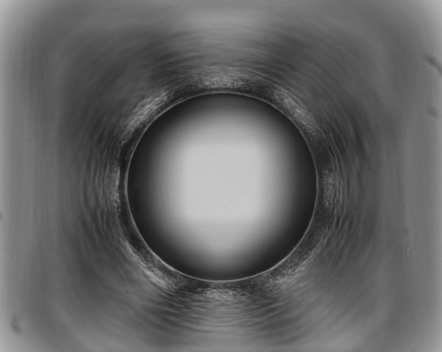 X0000097500490200802291601
