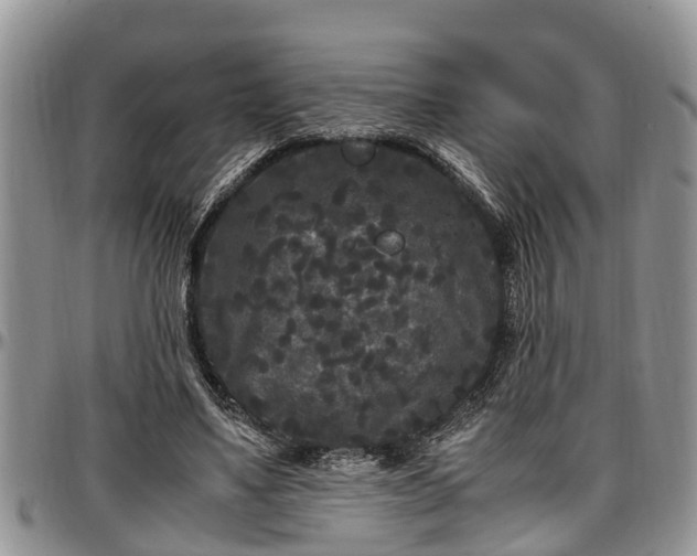 X0000097500491200802291601